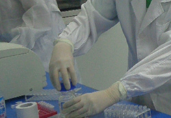淄博怀孕亲子鉴定机构地址在哪 淄博怀孕亲子鉴定机构地址在哪