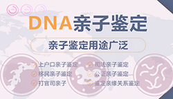 淄博隐私亲子鉴定结果需要多久,淄博隐私亲子鉴定样本有些什么 淄博隐私亲子鉴定结果需要多久,淄博隐私亲子鉴定样本有些什么