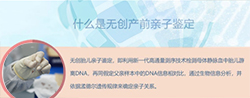 淄博孕期亲子鉴定哪里做